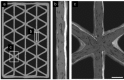 Figure 74