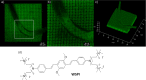 Figure 64