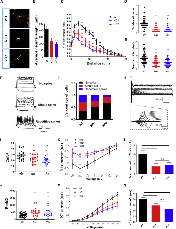 Figure 4