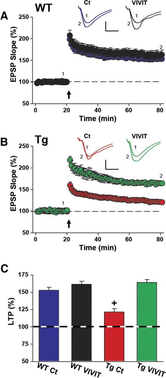 Figure 7.