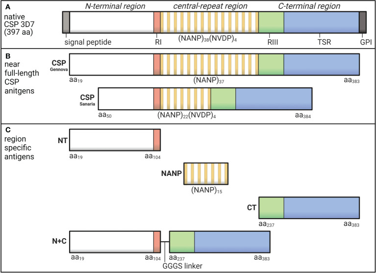 Figure 1