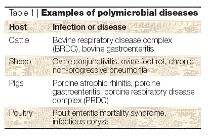 graphic file with name 41579_2004_Article_BFnrmicro928_Figa_HTML.jpg