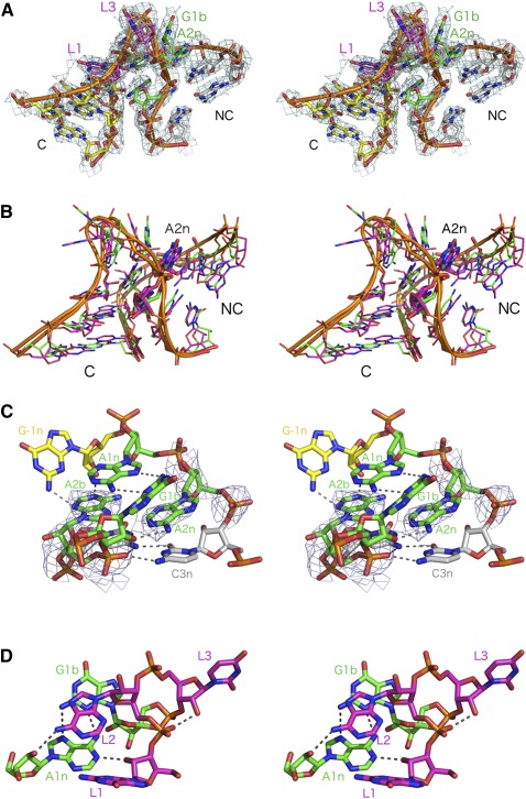 FIGURE 4.