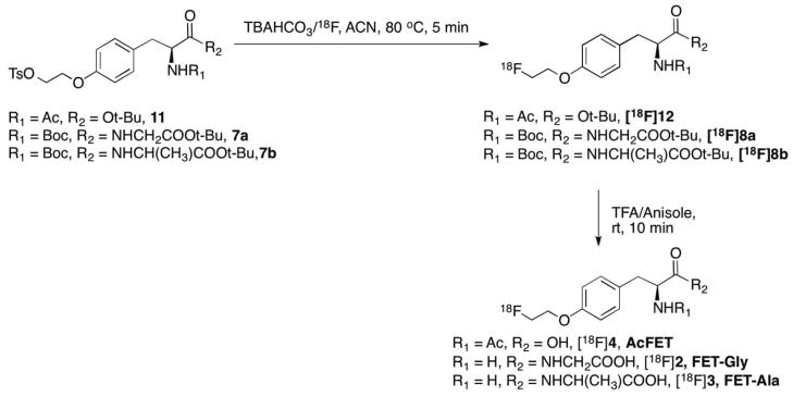 Scheme 3