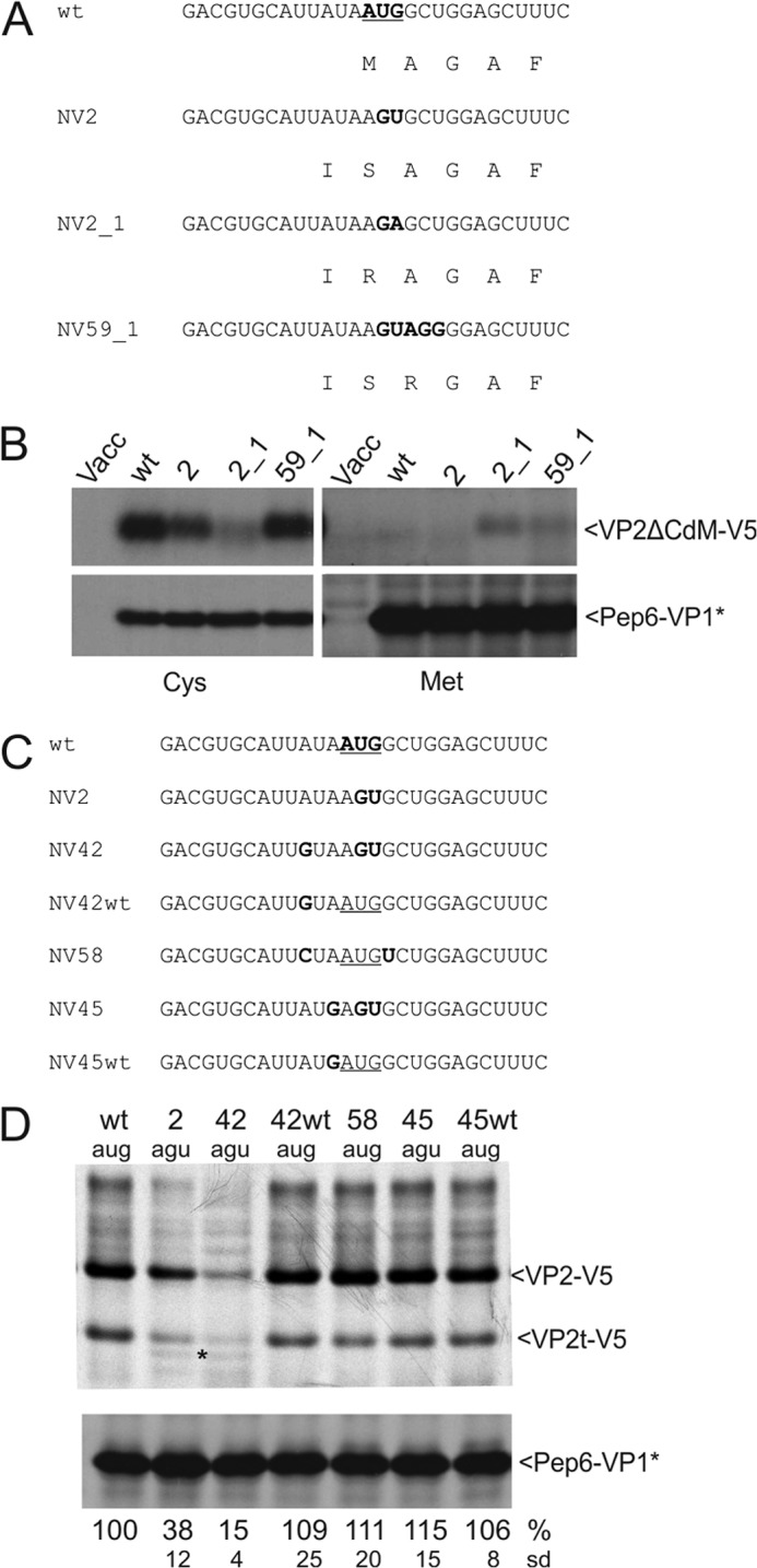 FIGURE 4.