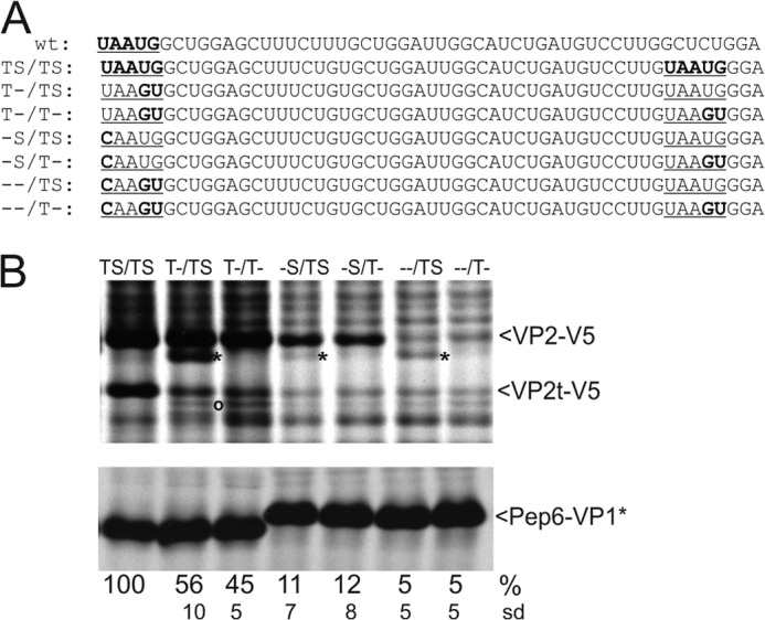 FIGURE 9.