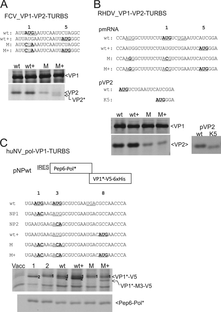 FIGURE 10.