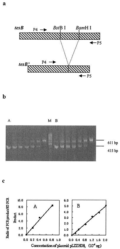 FIG. 5.