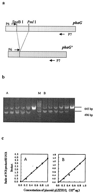 FIG. 6.