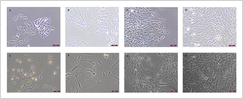 Fig. 2