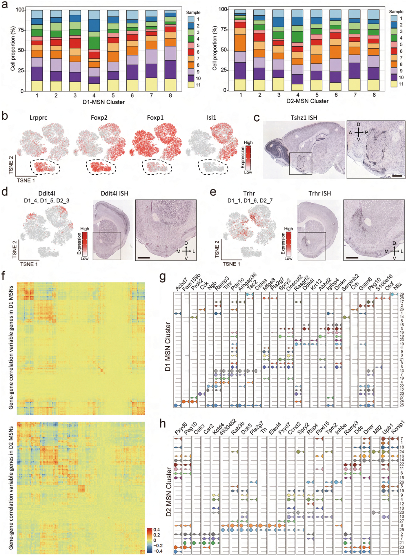 Extended Data Fig. 3 |