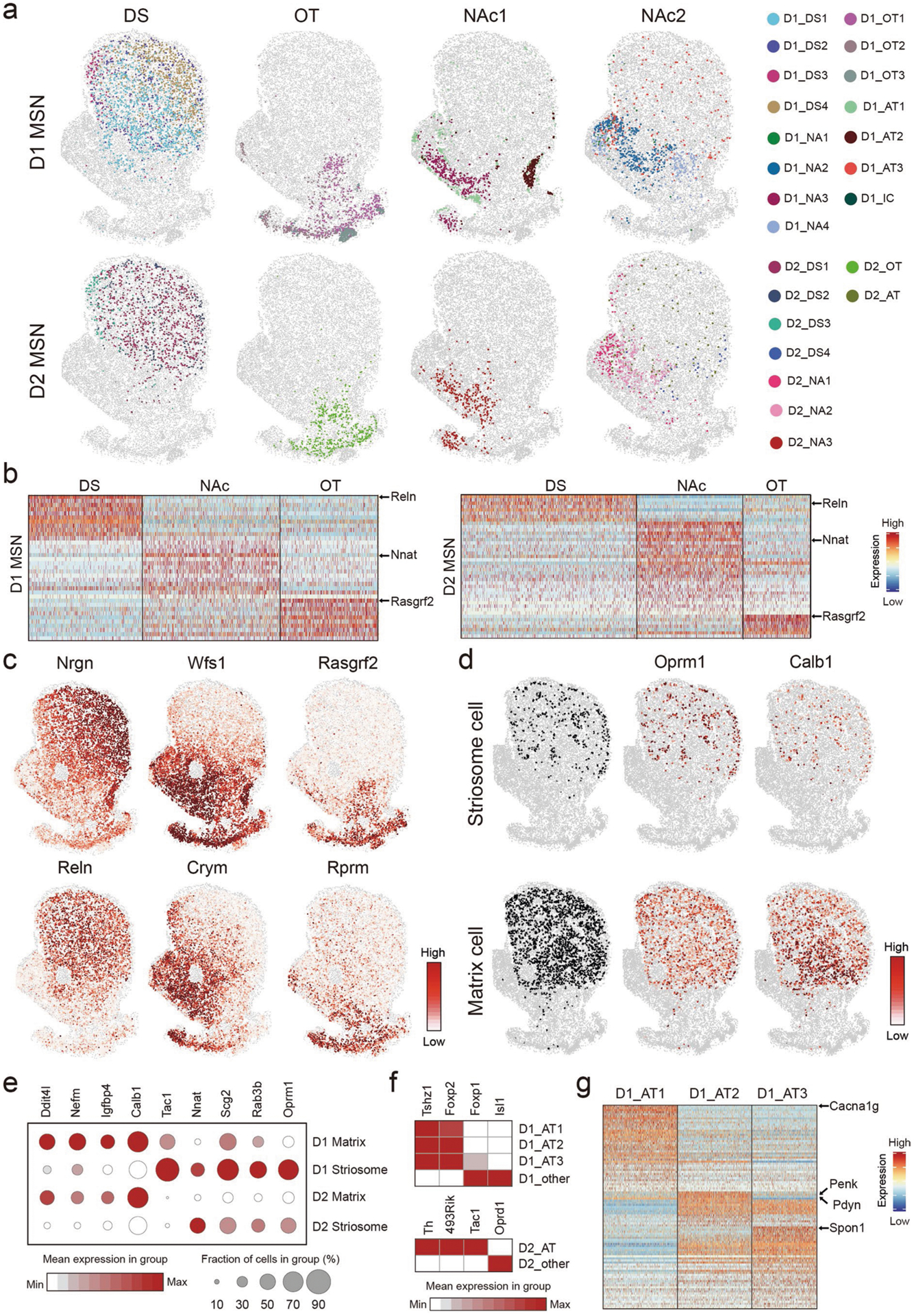 Extended Data Fig. 6 |