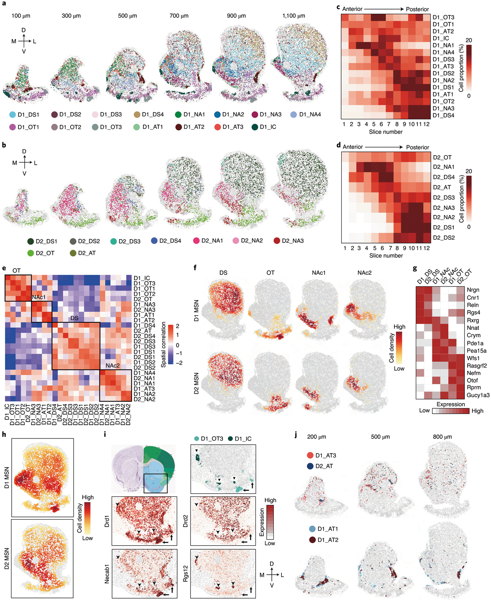 Fig. 6 |