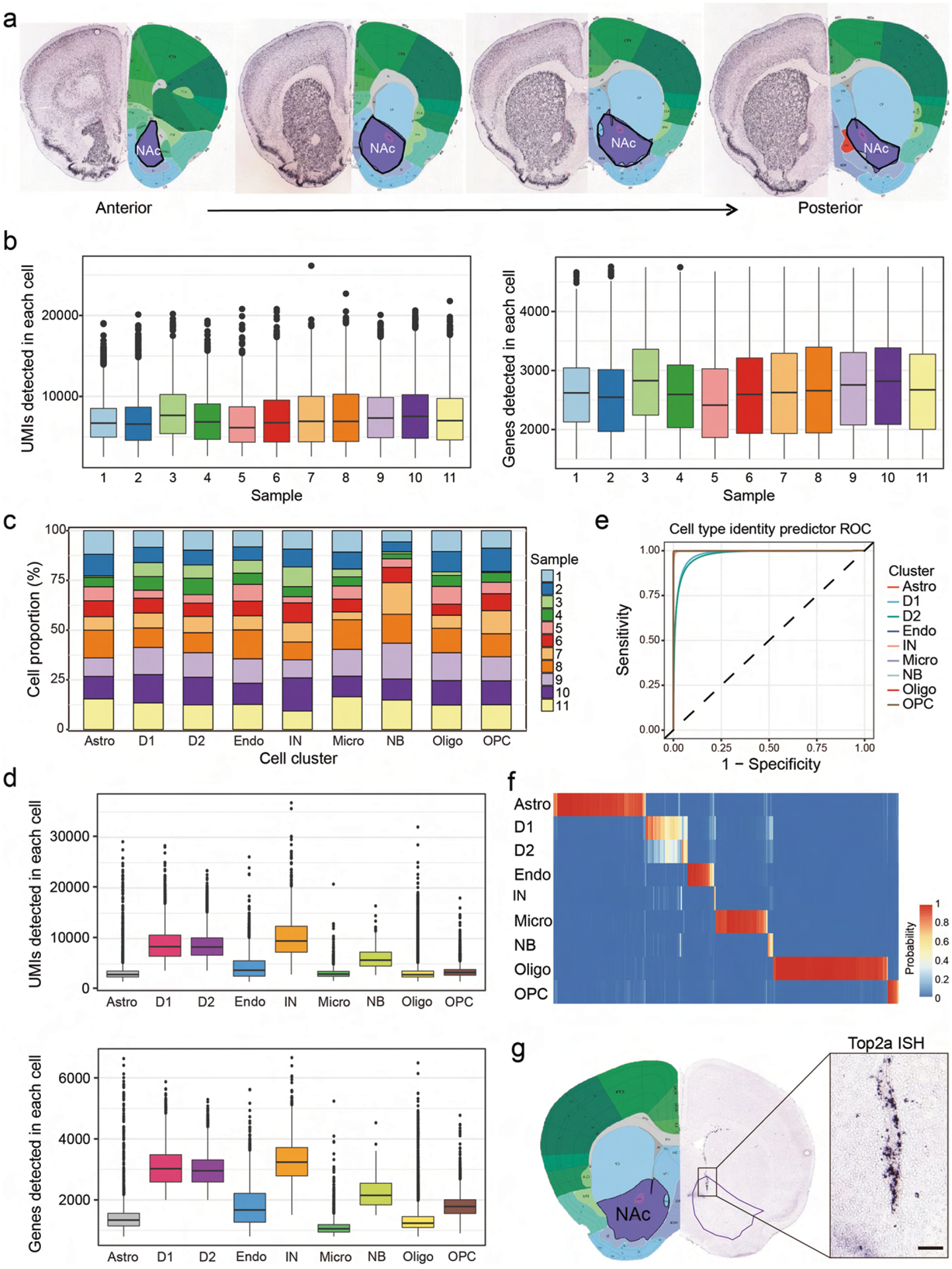 Extended Data Fig. 1 |