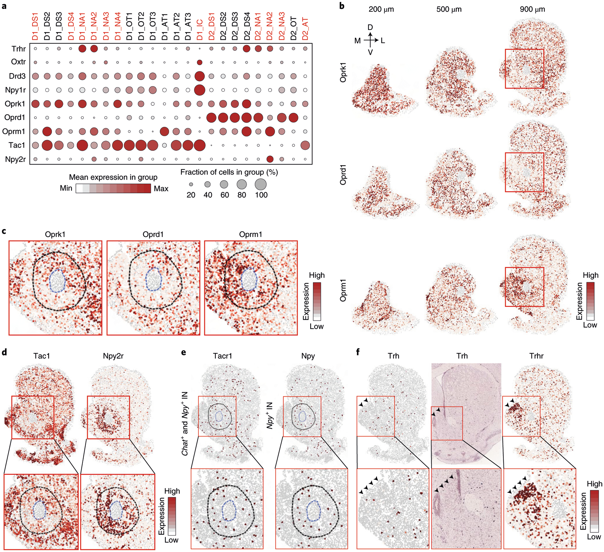 Fig. 8 |