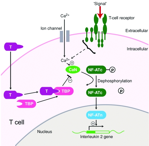 Figure 4.