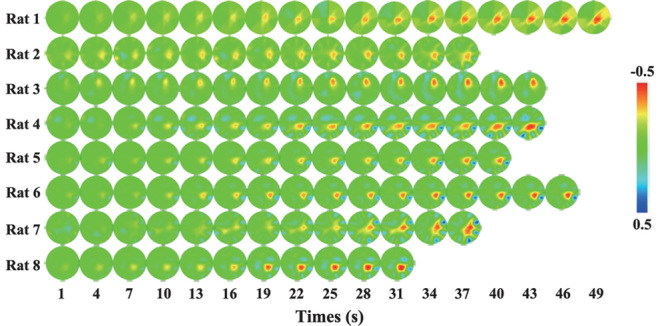 Fig. 3