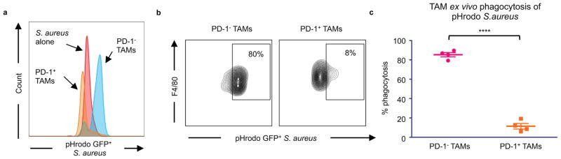 Extended Data Figure 3