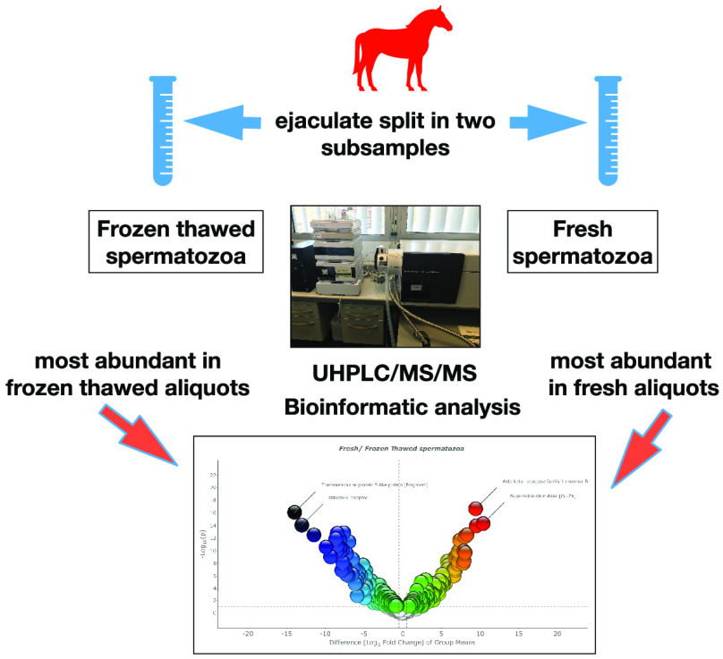 graphic file with name pr0c00932_0013.jpg