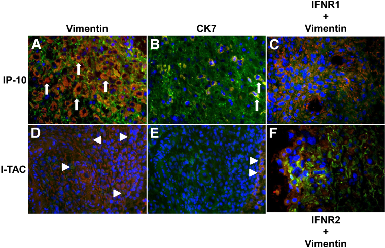 Figure 6