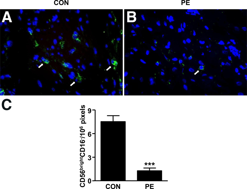 Figure 10