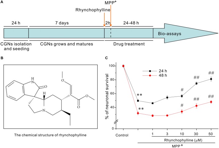 FIGURE 1