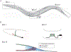 Figure 2.3