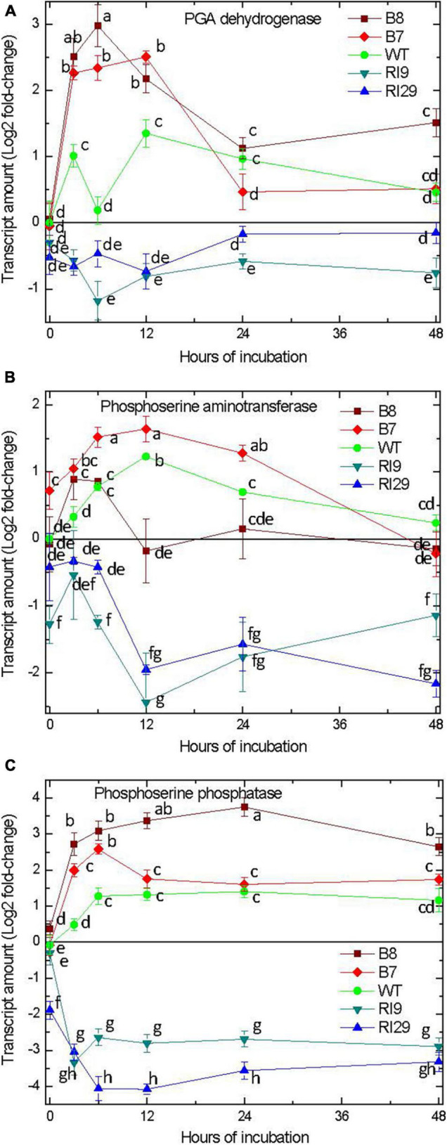 FIGURE 3