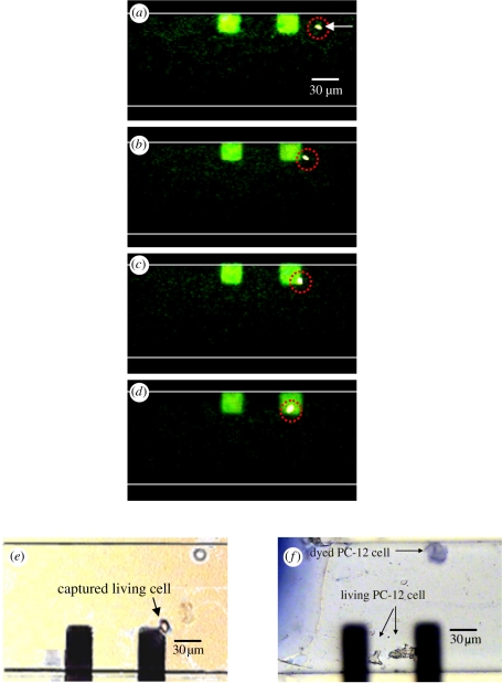 Figure 6.