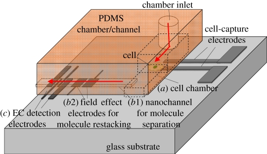 Figure 1.