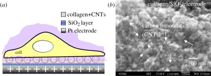 Figure 2.