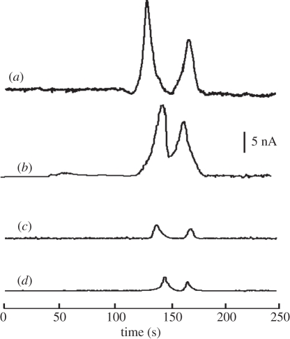 Figure 8.