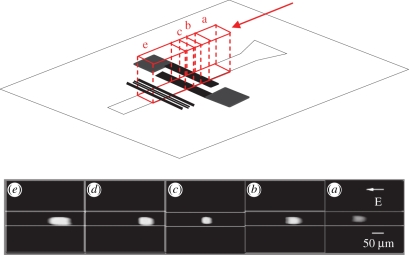 Figure 7.