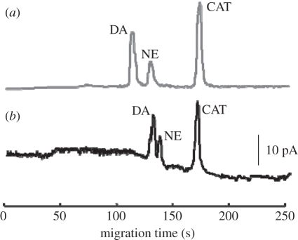 Figure 9.