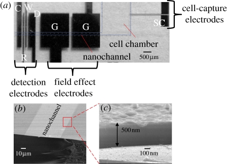 Figure 4.