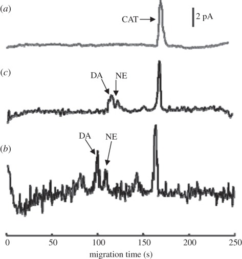 Figure 10.