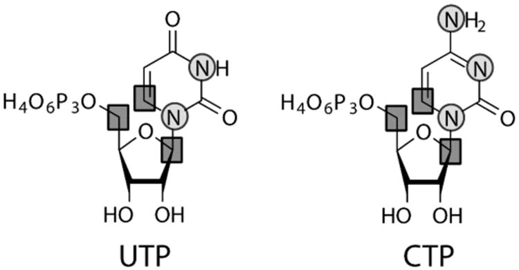 Figure 7.1