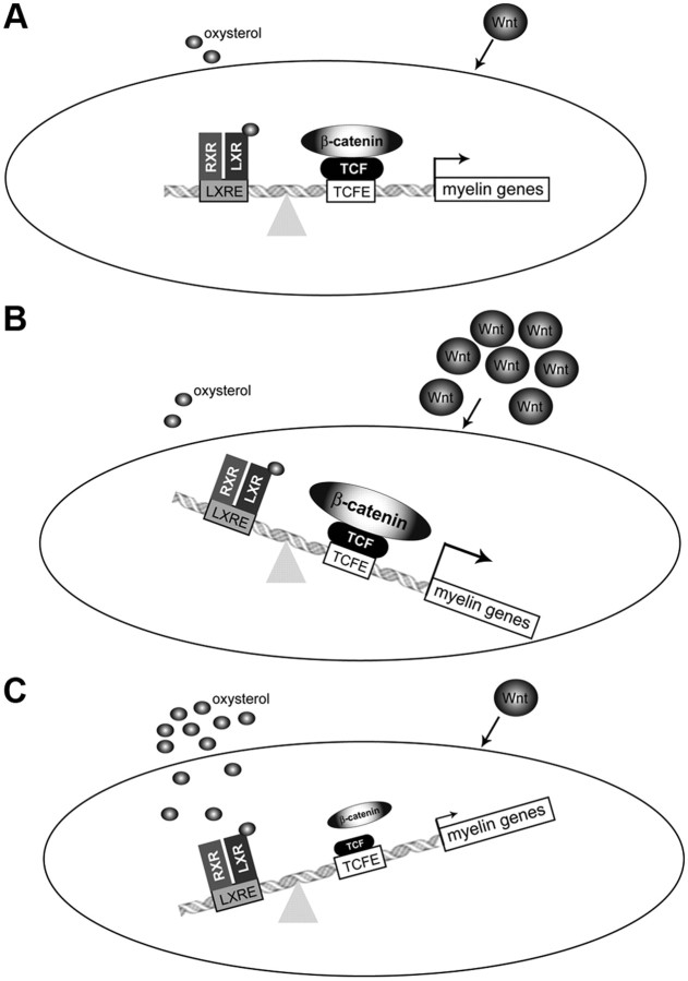 Figure 9.