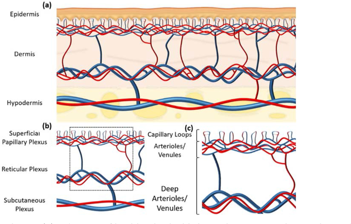 Figure 1: