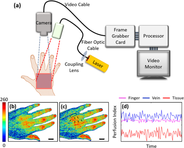 Figure 6: