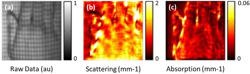 Figure 13: