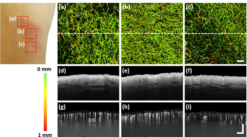 Figure 10: