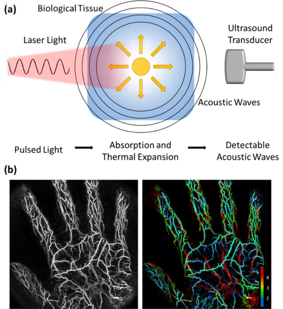 Figure 12: