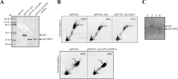 FIG. 4.