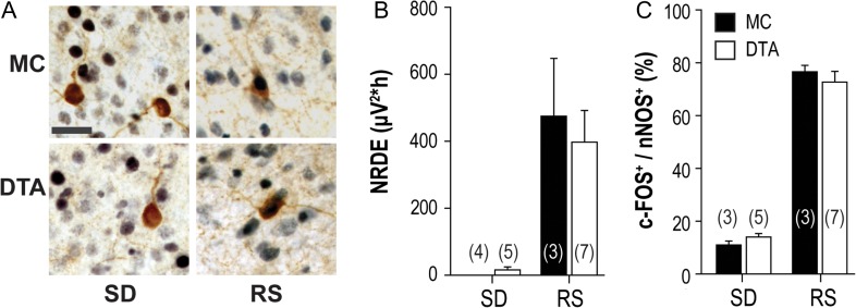 Figure 7.