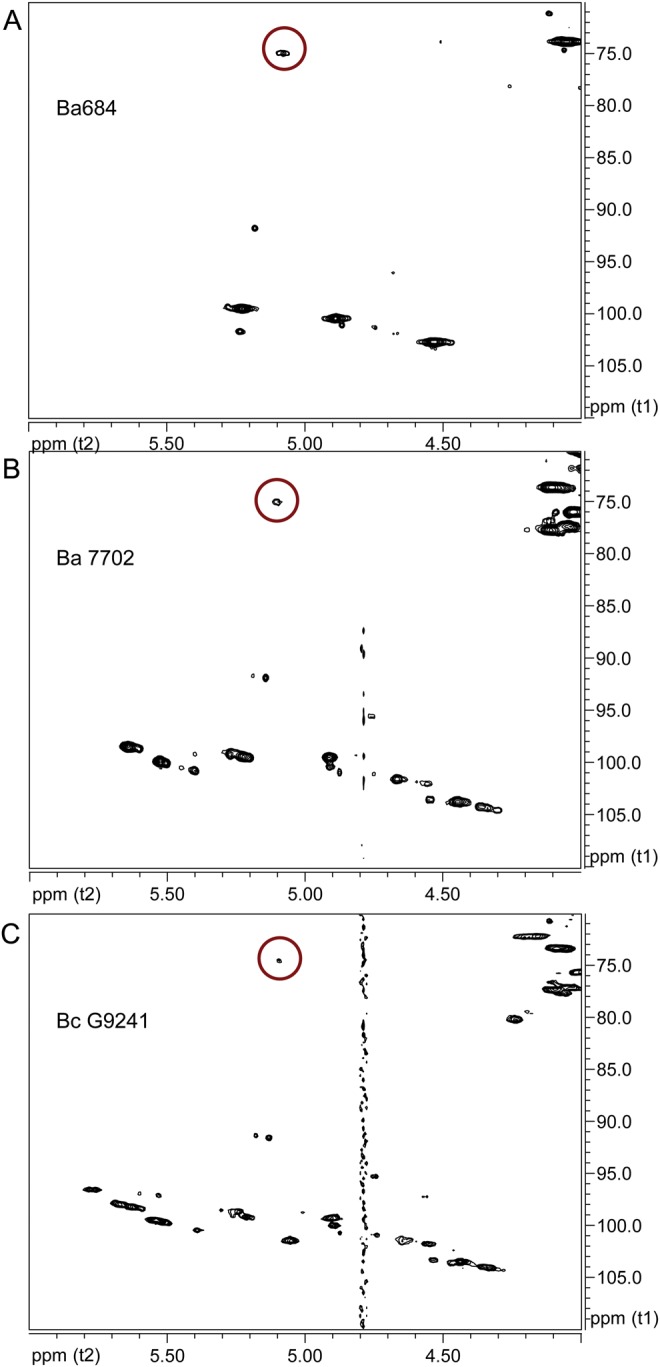 Fig. 8.