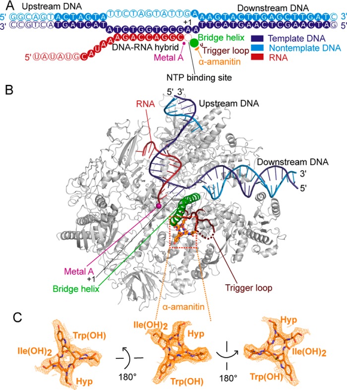 Figure 2.