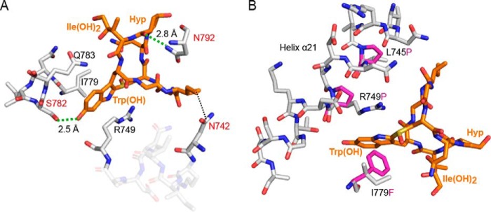 Figure 4.