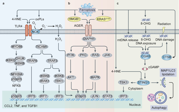 Figure 4.