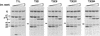 FIG. 9